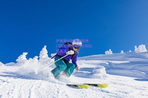 沪城激战外援定乾坤 门将轮换中场核心归位引关注