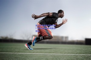 湖人首发后场浮出水面？隆多波普或成揭幕战搭档