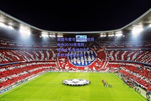 英国与爱尔兰联合放弃申办2030世界杯，转而全力竞逐2028年欧洲杯主办权